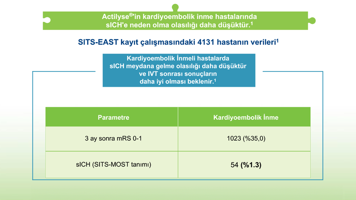 SITS-EAST kayıt çalışmasındaki 4131 hastanın verileri