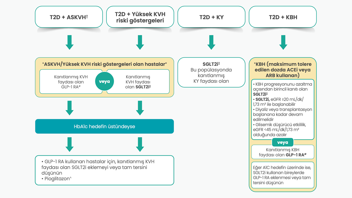 PC-tr-103711 metabolism_Image02