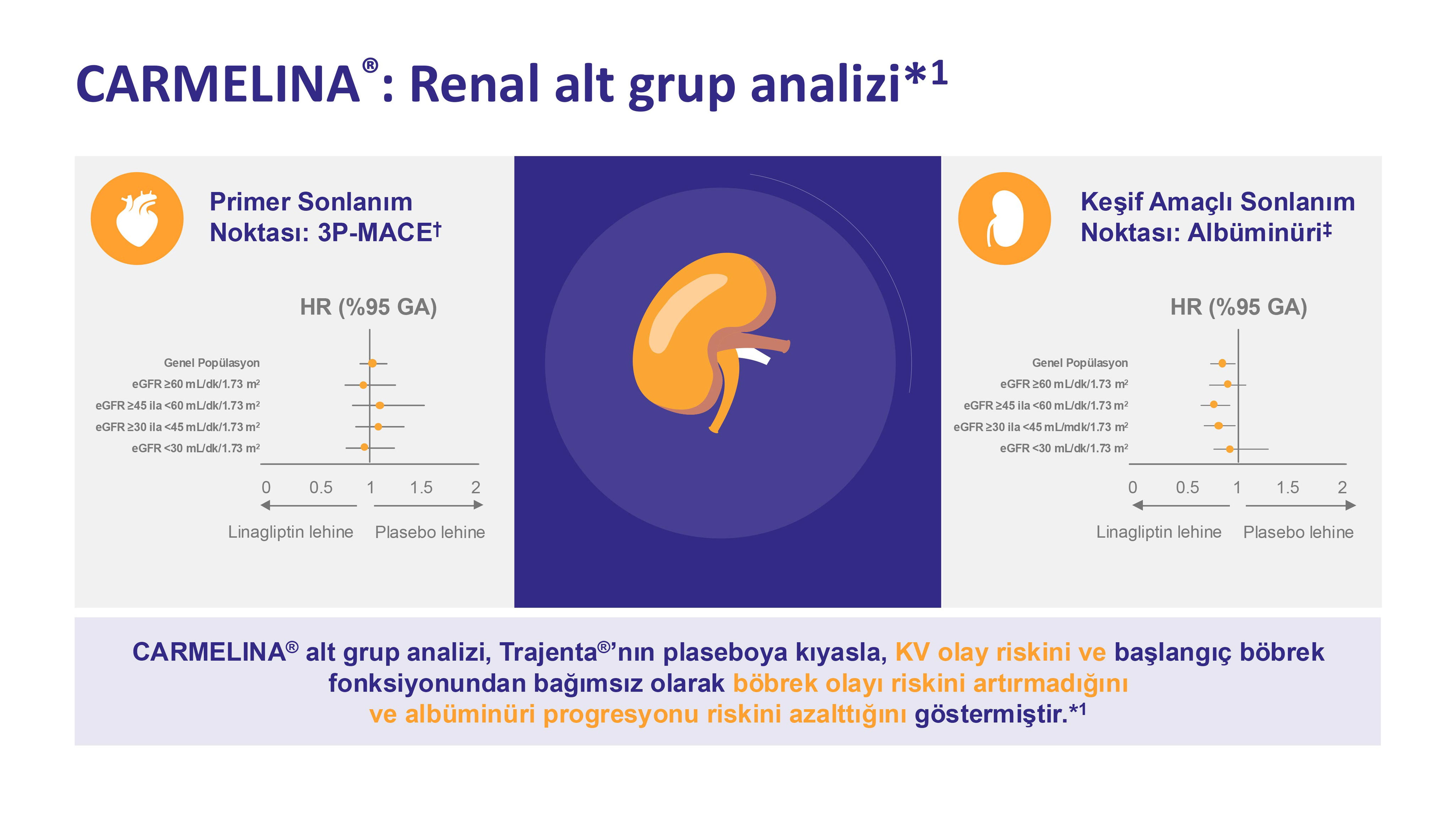 CARMELINA®: Renal alt grup analizi