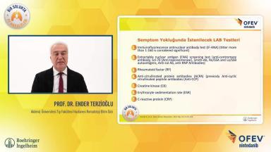 PF Makaleleri - Prof. Dr. Ender Terzioğlu CTD-ILD Uzman Görüş Rehberi 