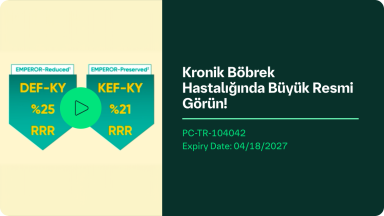 Kronik Böbrek Hastalığında Büyük Resmi Görün!